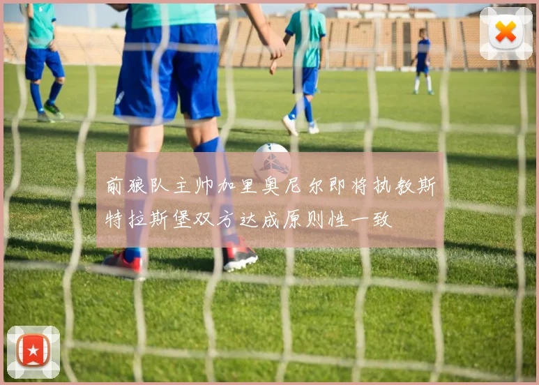前狼队主帅加里奥尼尔即将执教斯特拉斯堡双方达成原则性一致