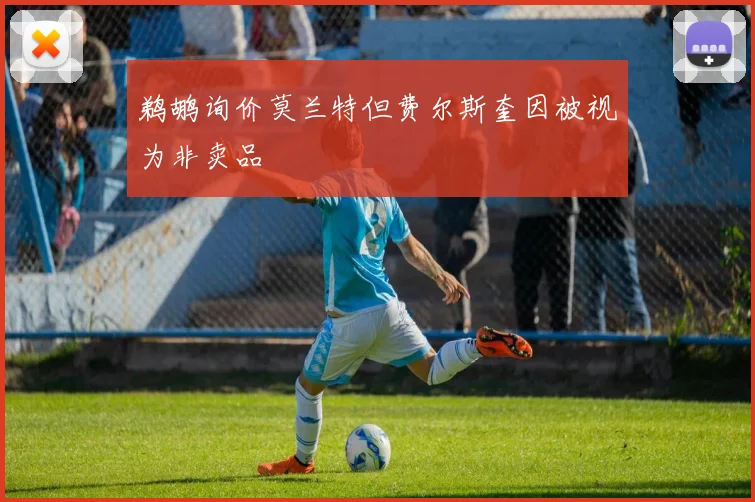 鹈鹕询价莫兰特但费尔斯奎因被视为非卖品