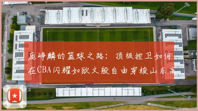 庞峥麟的篮球之路：顶级控卫如何在CBA闪耀如欧文般自由穿梭山东高速