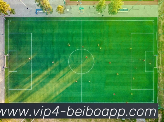 体育App